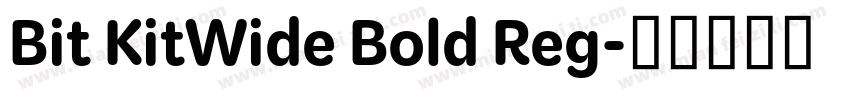 Bit KitWide Bold Reg字体转换